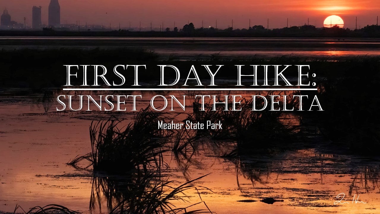 First Day Hike Sunset on the Delta Alapark